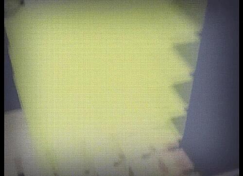 Discipline: The Hentai Academy 05 - Hentai Full HD 1080P - Hentai Dreams