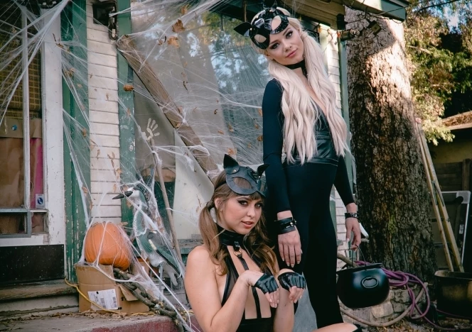 Not So Happy Halloween