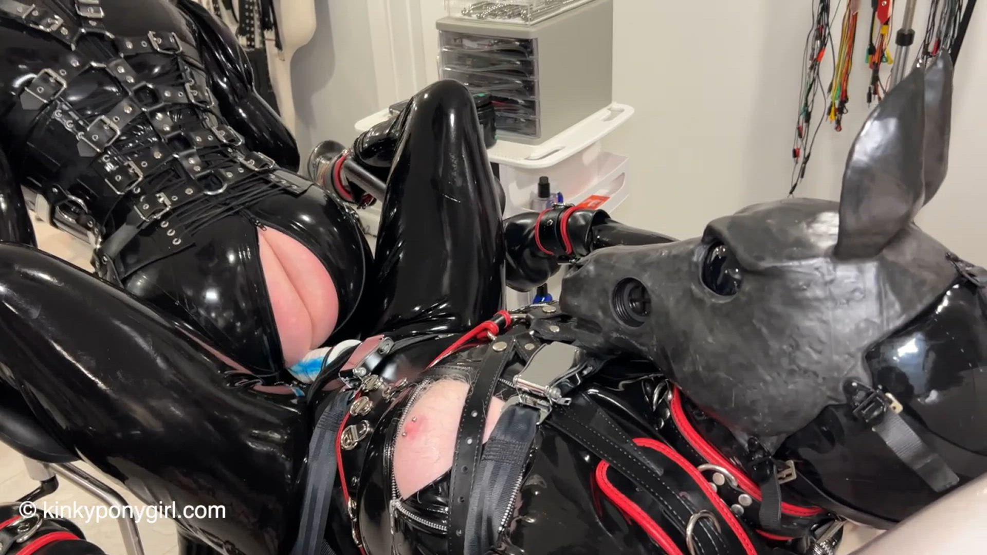 Rubber Dildo Horse Cocks 2/2