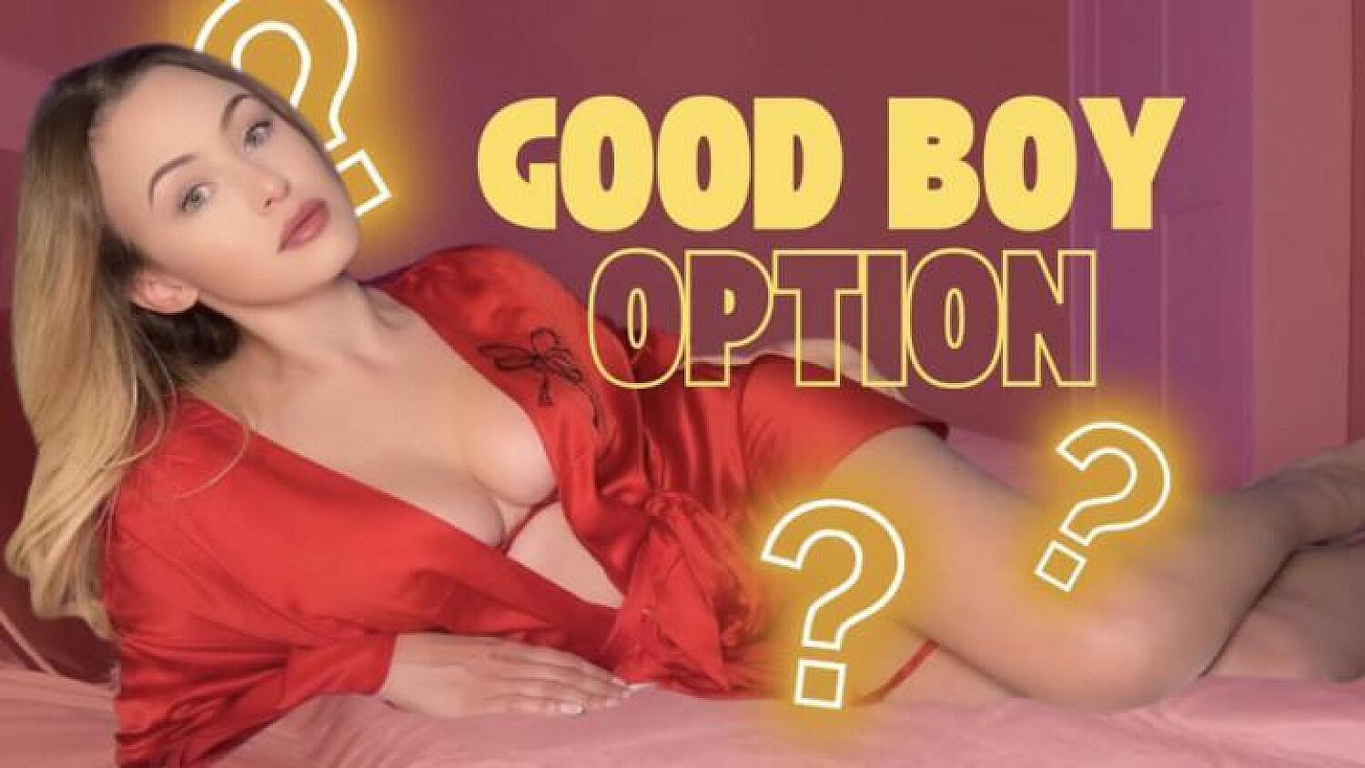 Good Boy Option - Good Boy Or Little Bitch