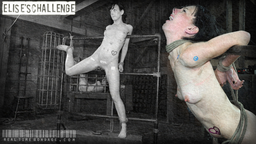 Elise S Challenge