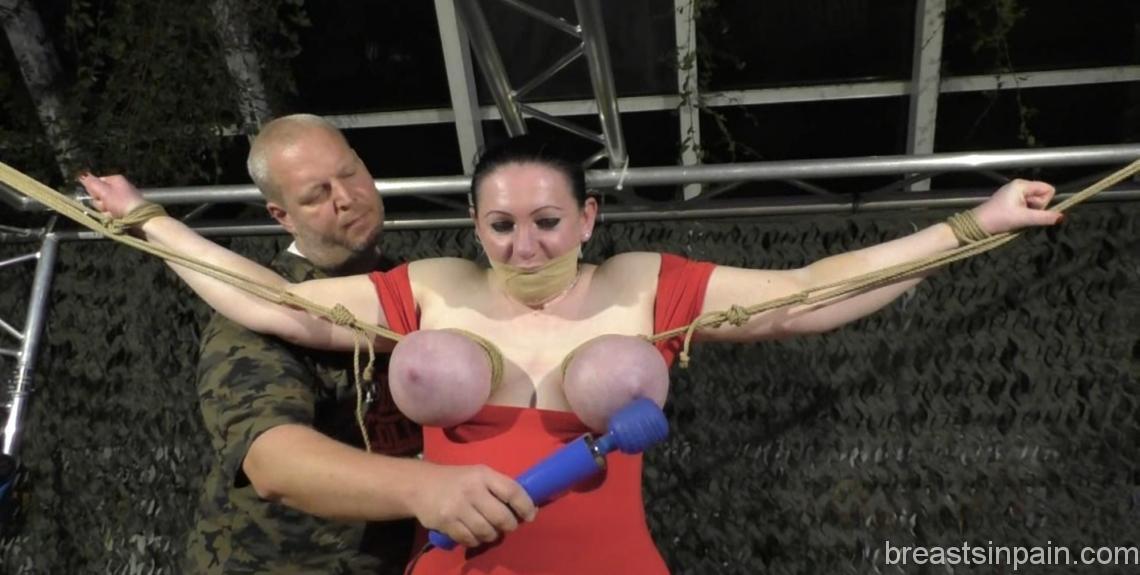 Public Tit Challenge For Cat