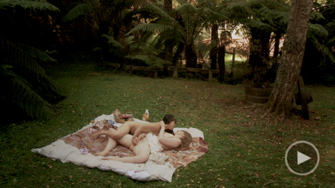 The Back Garden 3