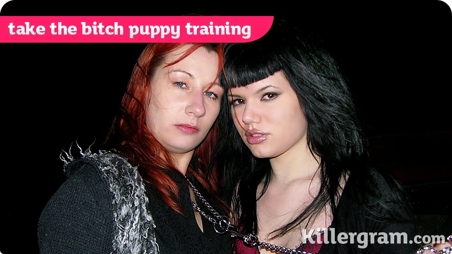 Take the Bitch Puppy Training