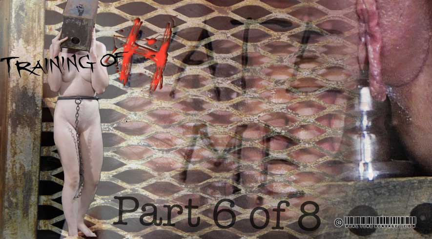 Training of H Part 6
