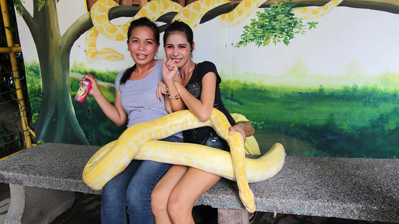 Zoo in Manila