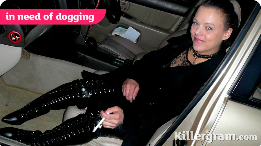 In Need of Dogging