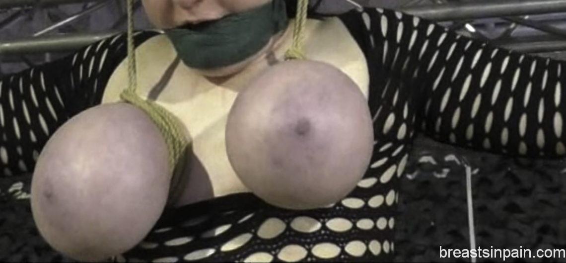 Public Breast Predicament & Sybian Orgasm Challenge For Titslave Cat