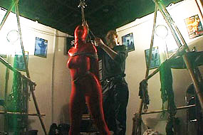 Flexible Stripper in Show