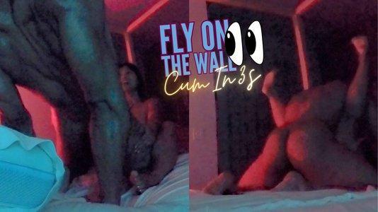 Fly On The Wall - Cum In 3S Feat Astrodomina & Creamsixxl (HD MP4)