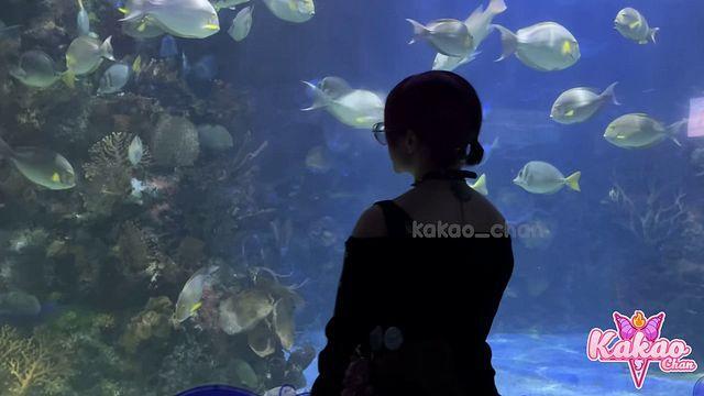 Kakao Chan Aquarium Date Vlog