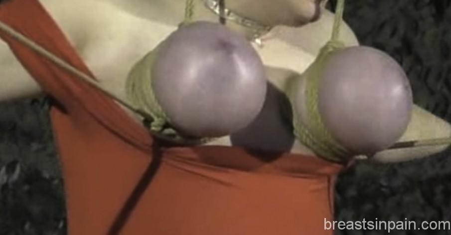 Public Tit Torture For Titslave Cat