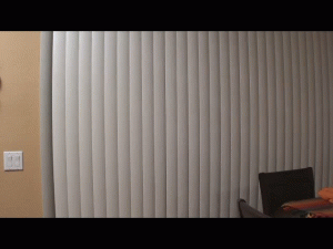 Training Day - Screenshot 1 of 4 - Asian
