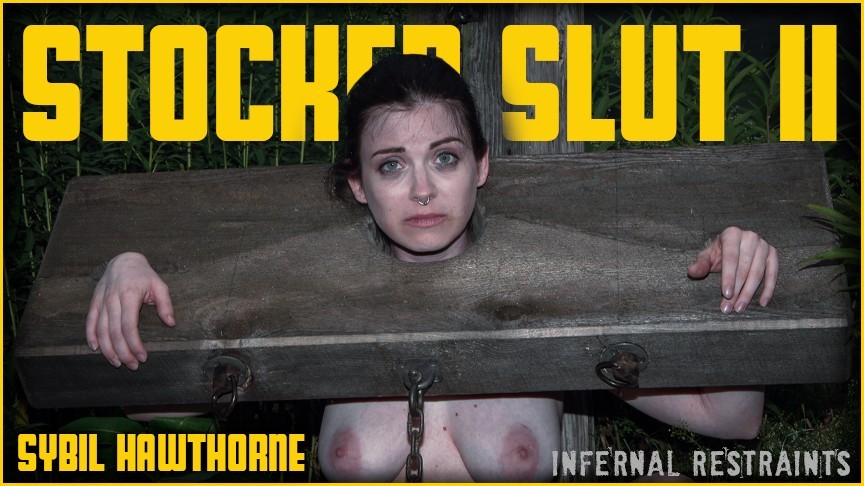 Stocked Slut II
