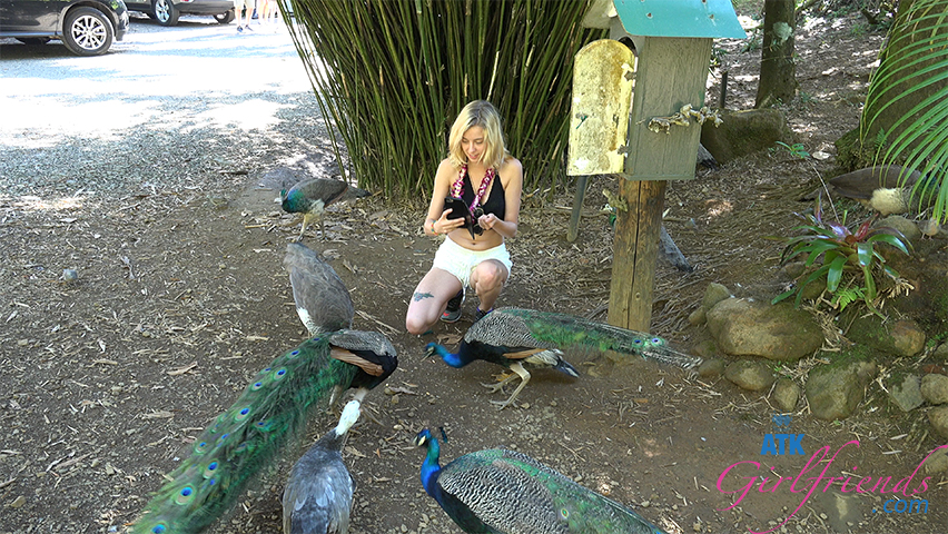 You See a Lot of Stuff on the Road to Hana-Including Haley Sucking Yo