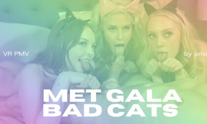 Met Gala Bad Cats - Vr Porn Pmv | By Private Jet