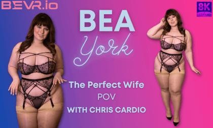 The Perfect Wife