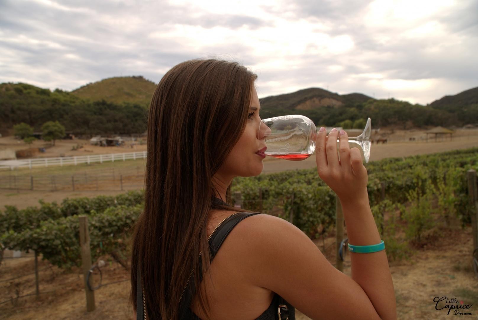 Caprice Divas - Wine Safari