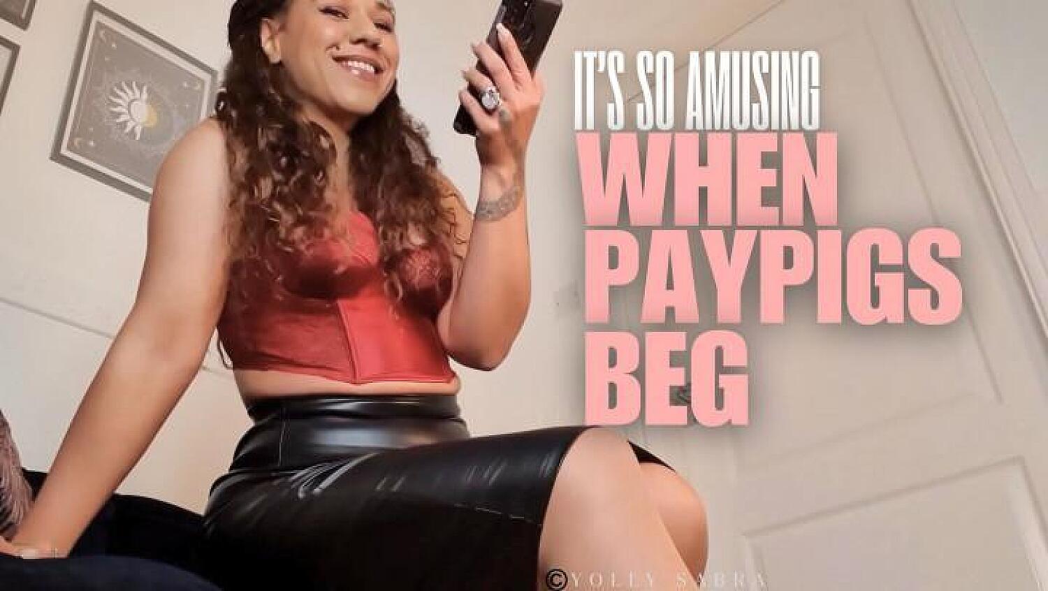It's So Amusing When Paypigs Beg