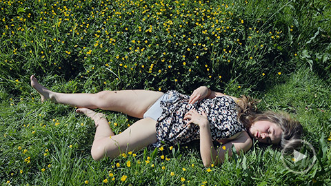 Botticelli's Dream 1