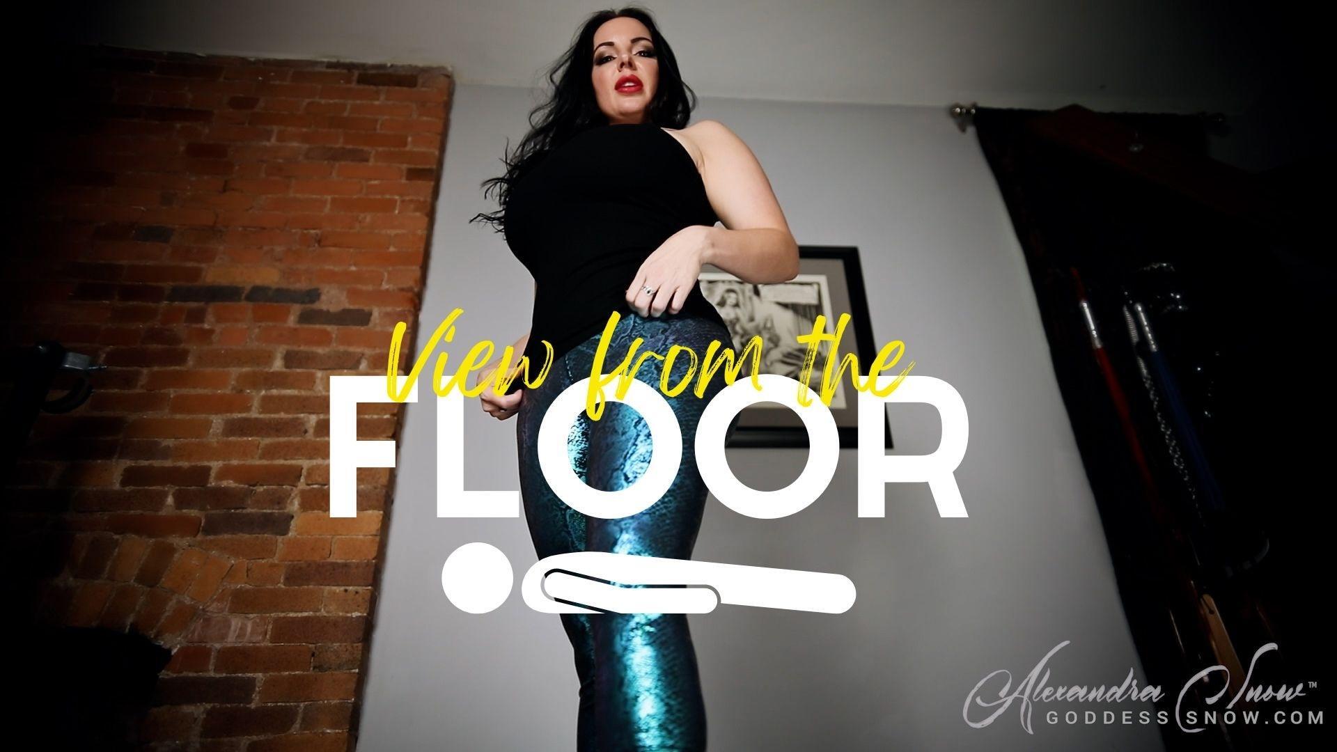 View From The Floor