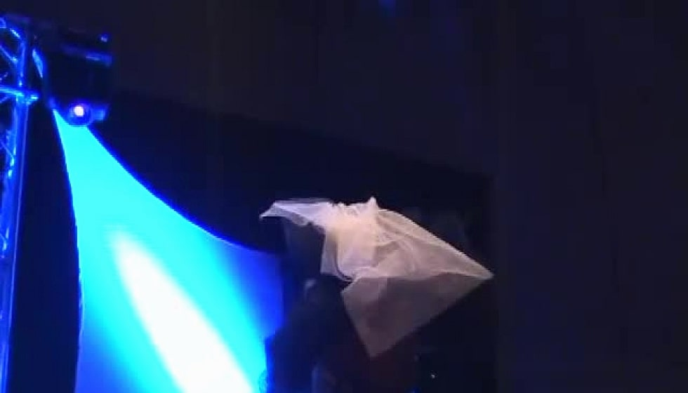 Blonde in Stripping Show