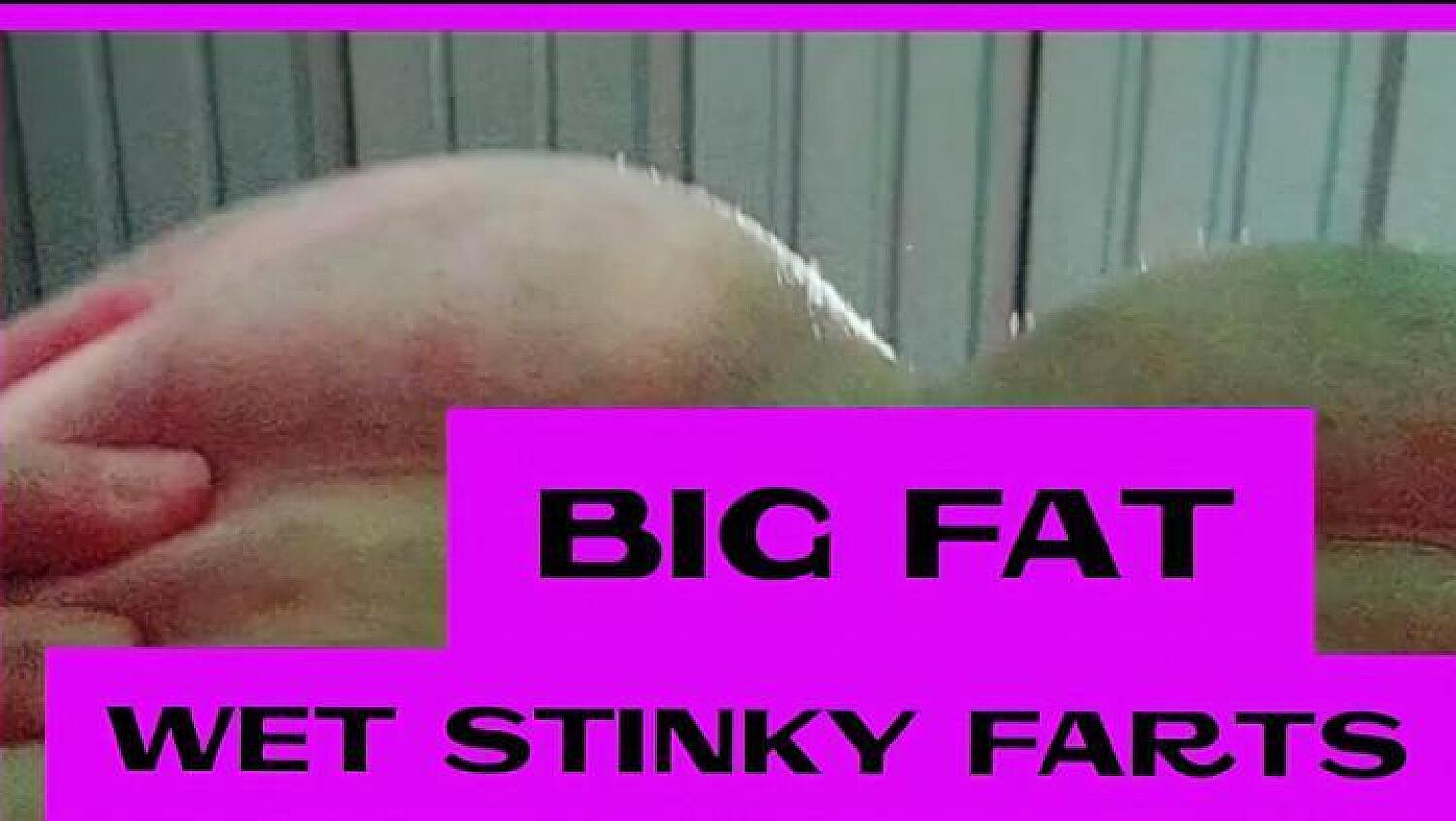 Big Fat Wet Stinky Farts