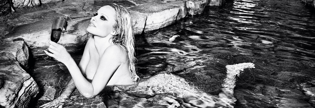 Pamela Anderson Returns