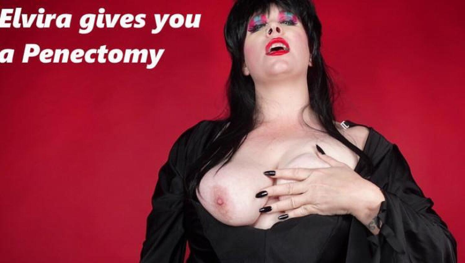 Elvira Gives You Penectomy After Letting You Stroke To Tits