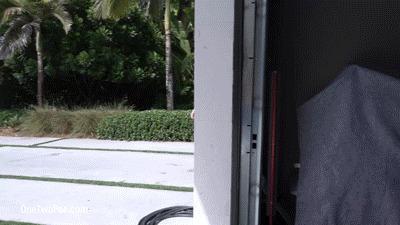 Cory Chase- Outdoor Fuck And Piss Suck For Step Mom