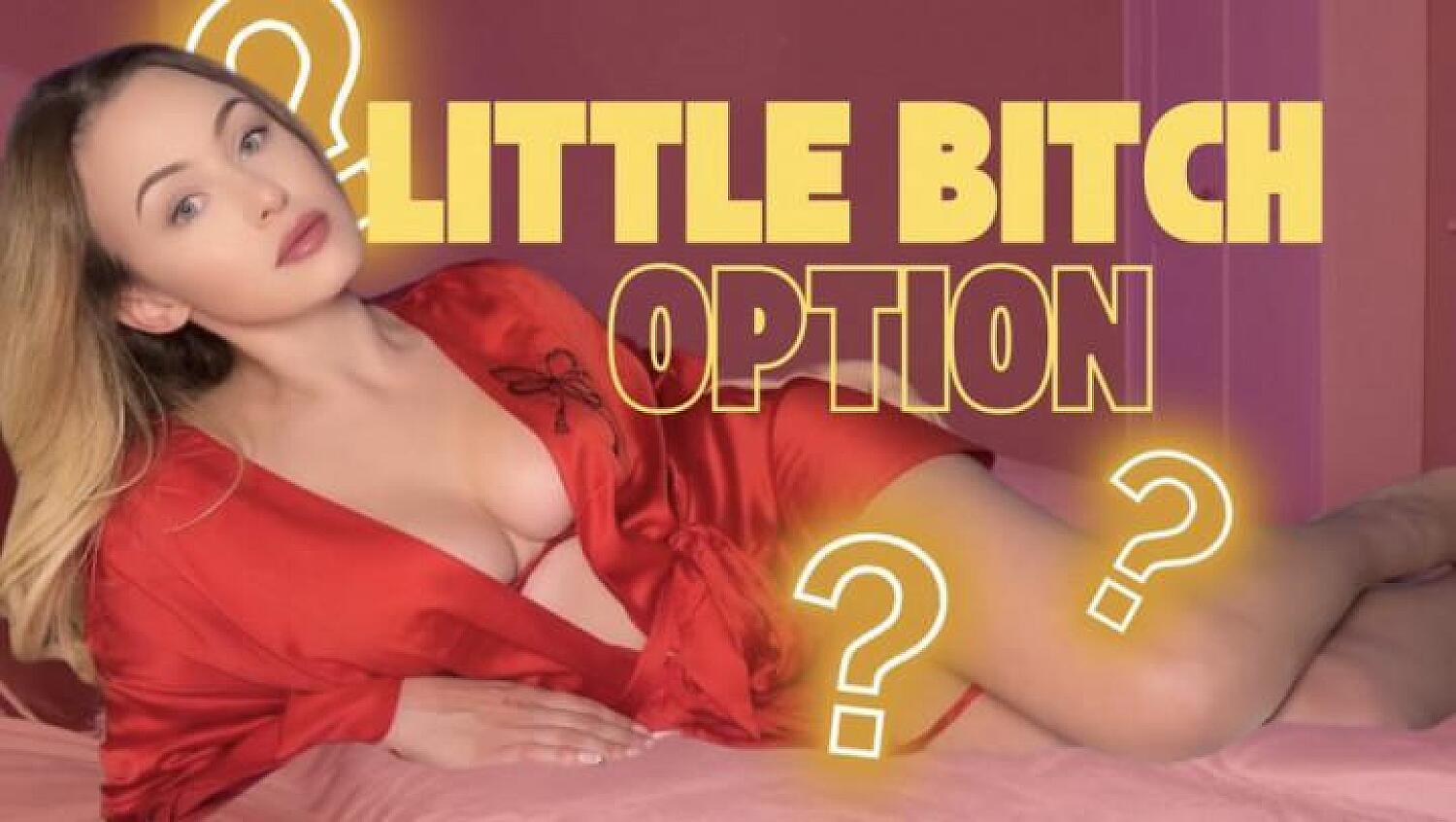 Little Bitch Option - Good Boy Or Little Bitch