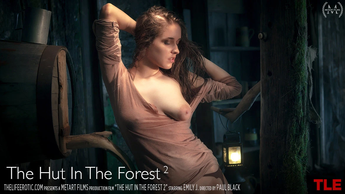 The Hut in the Forest 2