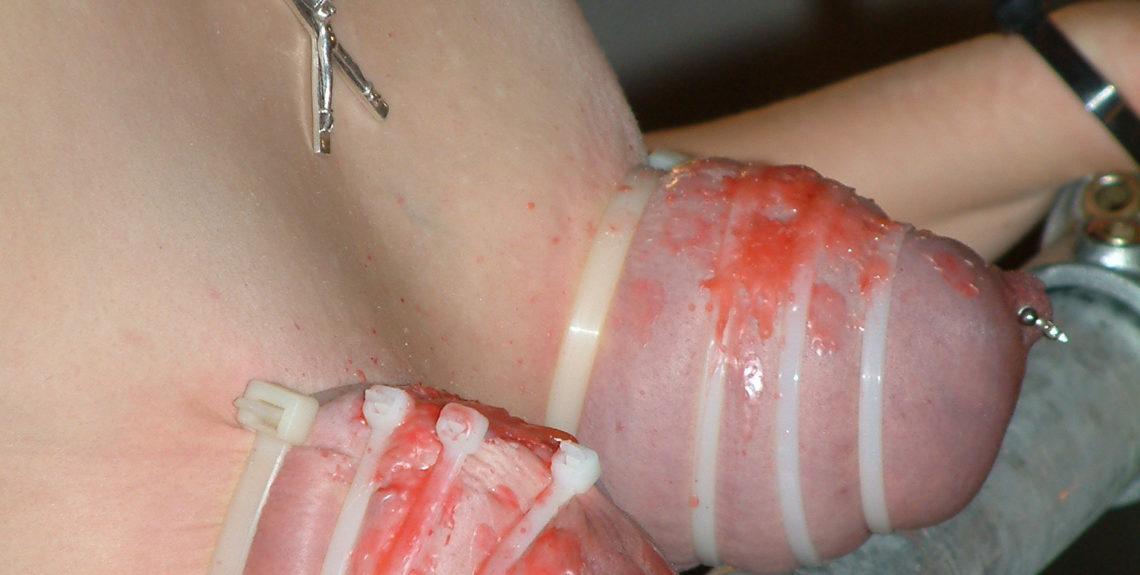 Archives -The Perfect Titslave - Eva - Part 1