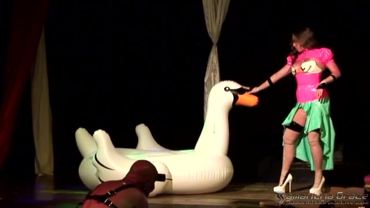 Swan Show in Jamacia