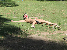Stripped, Spread and Watched