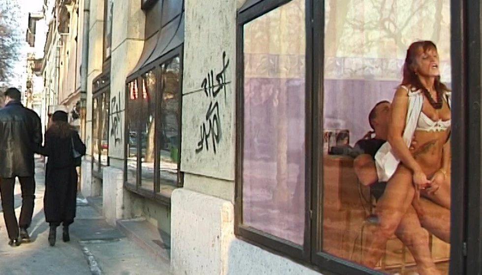 Sex in the Shop Window