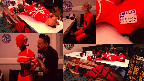 Living Doll Live Demo