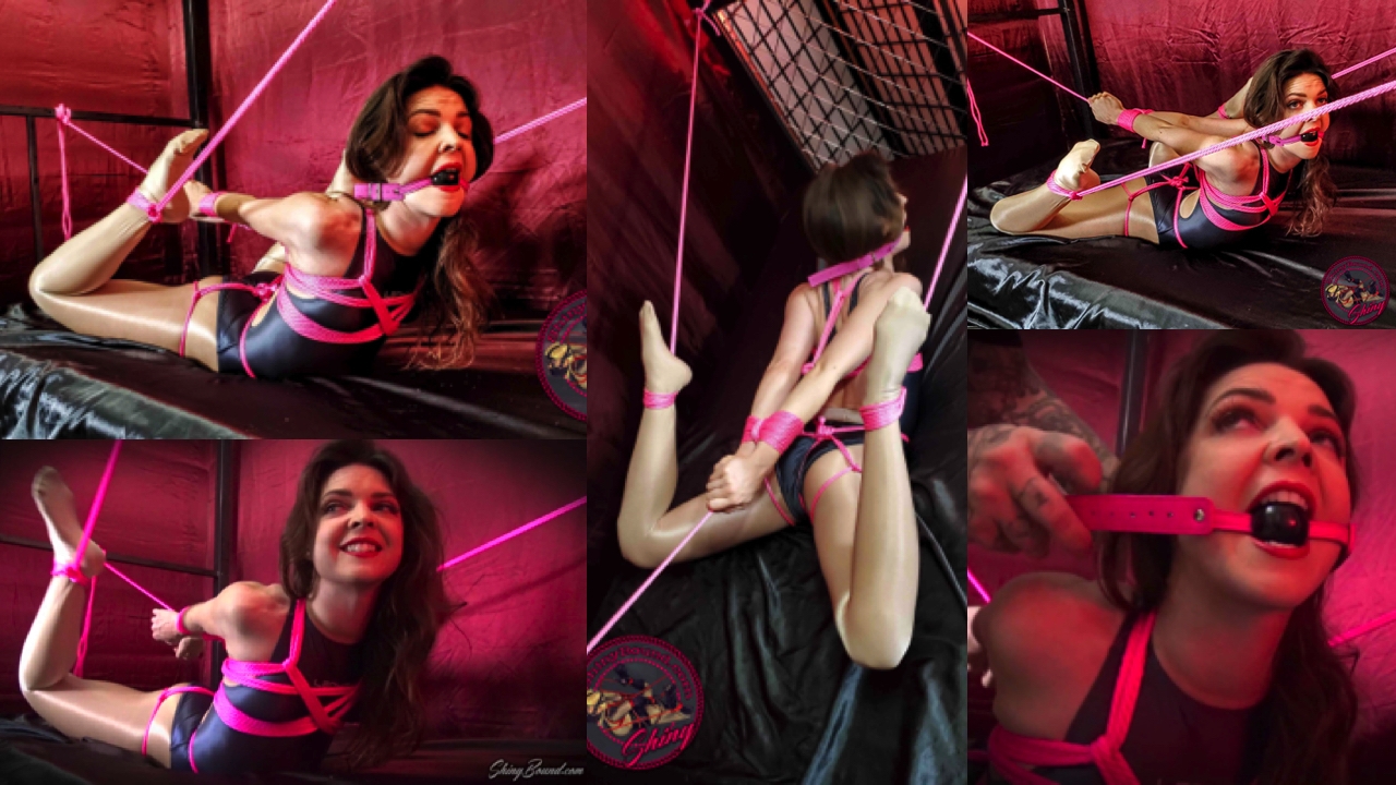 The Scorpion Hogtie