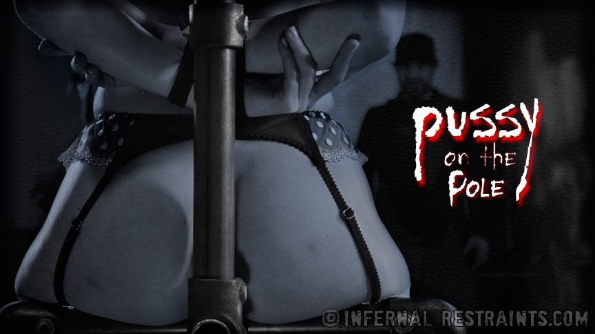 Pussy on the Pole