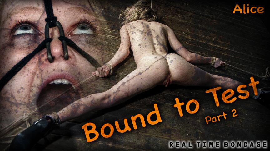 Bound to Test 2