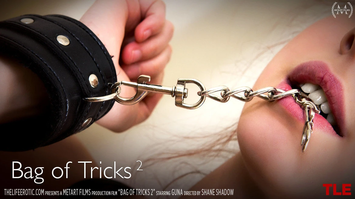 Bag of Tricks 2