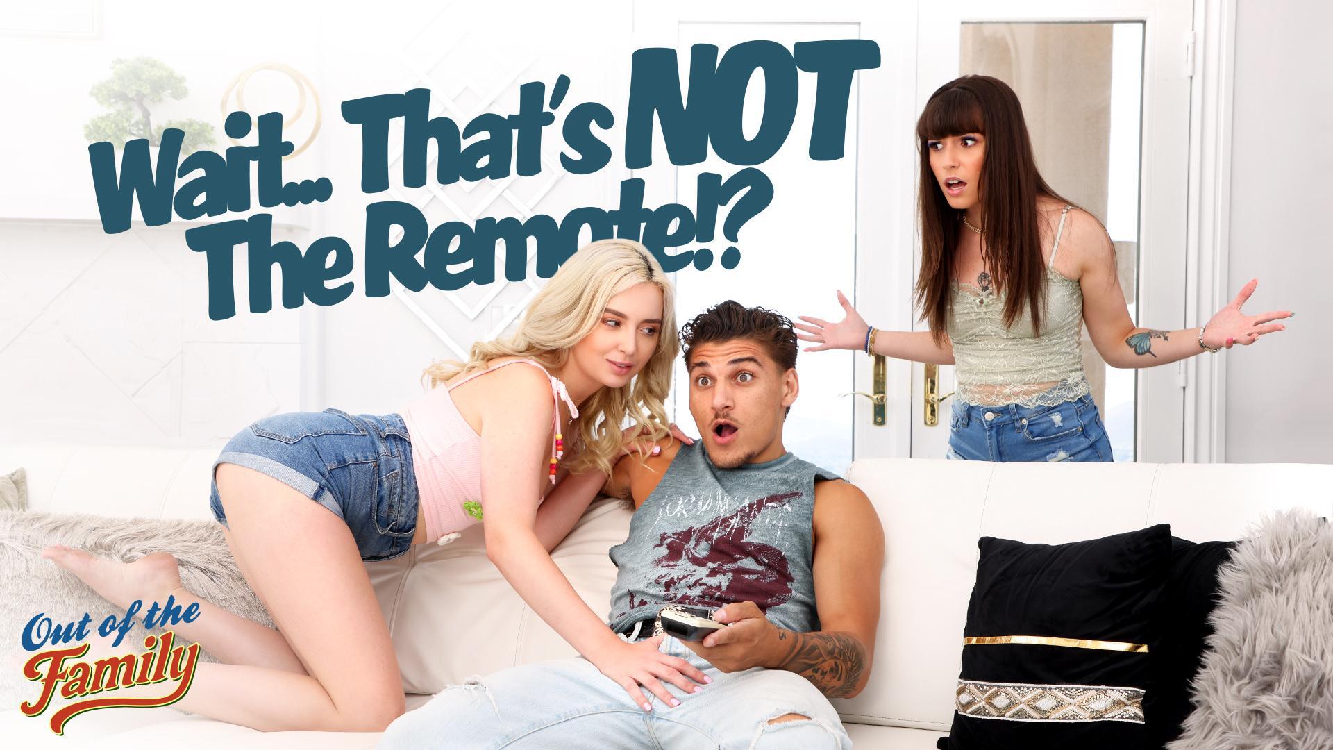 Wait... That's Not The Remote!?