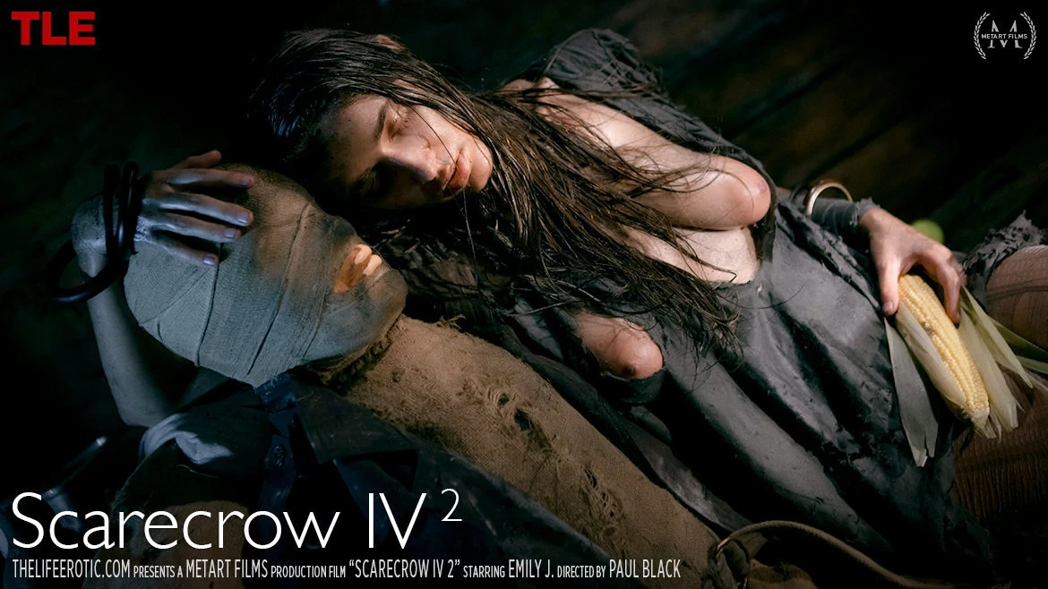 Scarecrow Iv 2
