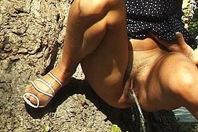 Chestnut Pissing in Park