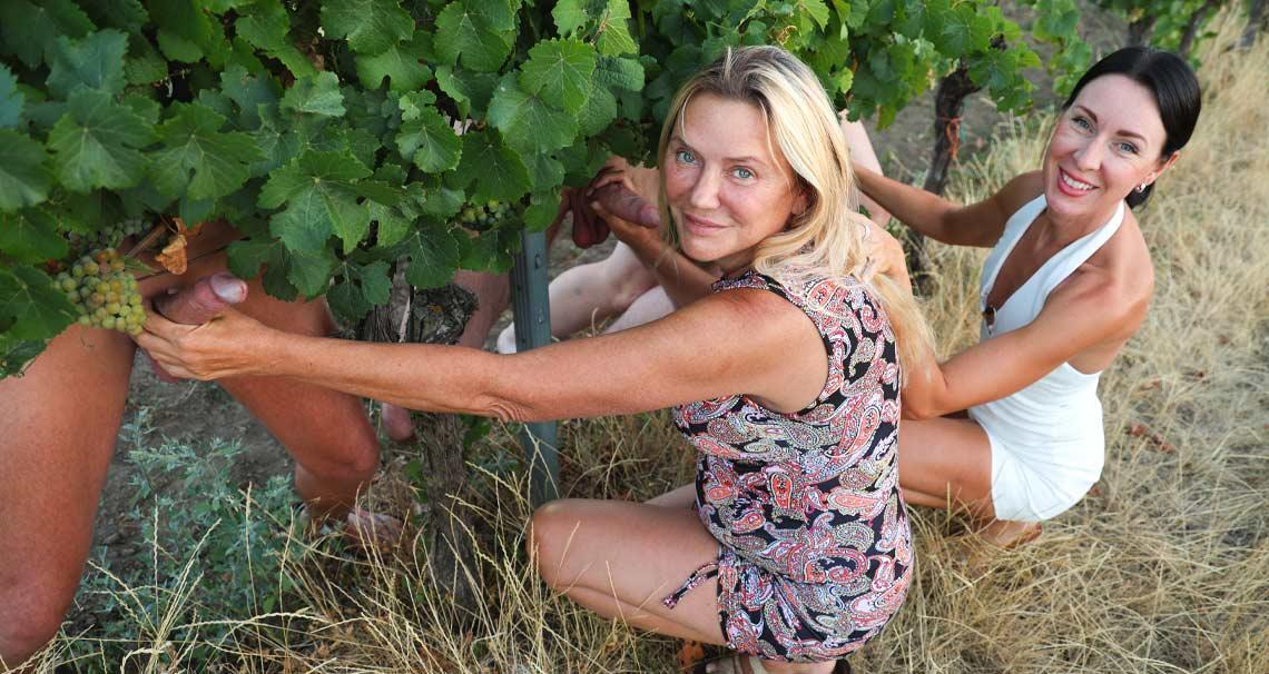 Public Cumming At A Vineyard