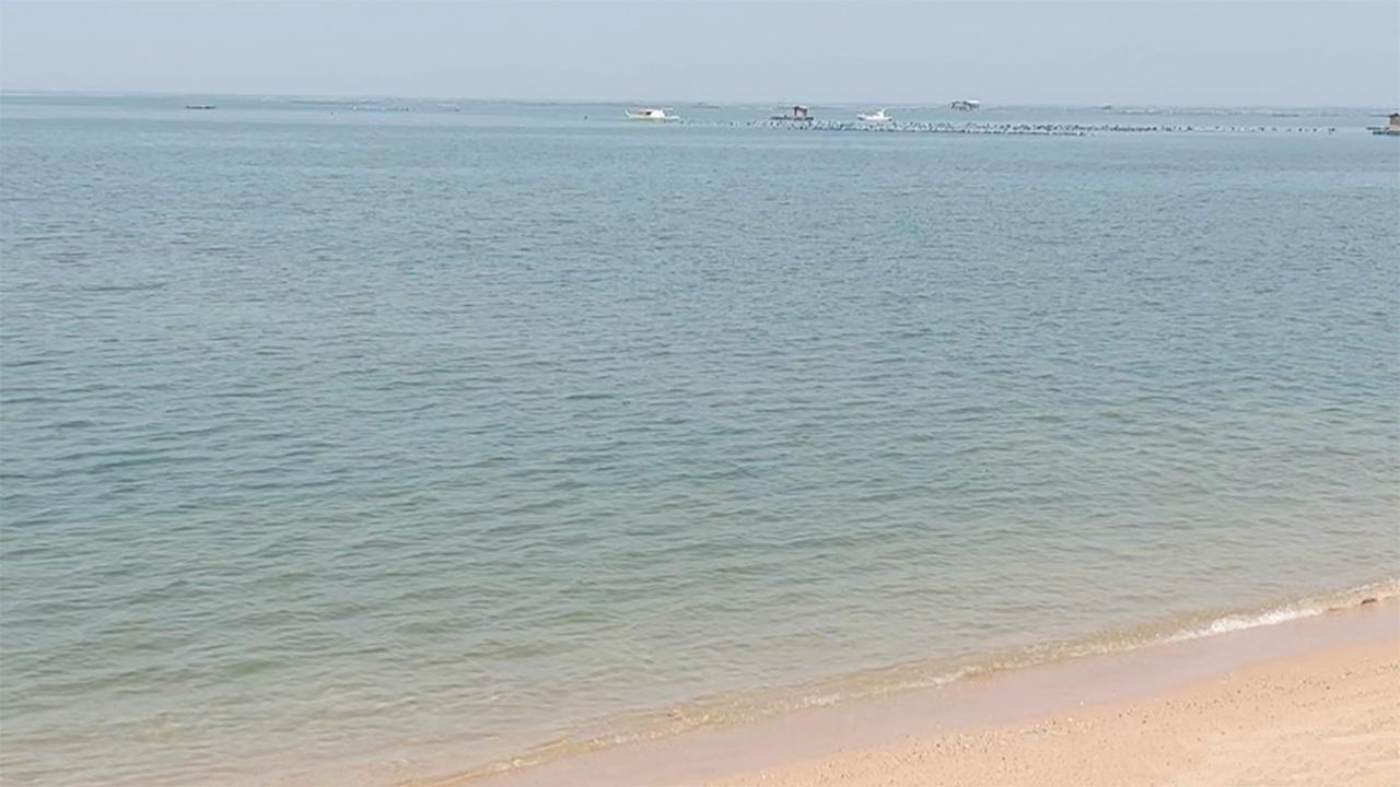 Warm Pattaya Beach Vegging