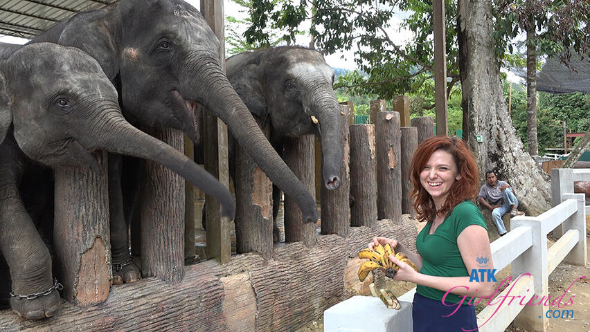 A Fun Trip with Animals and a Creampie End for Emma