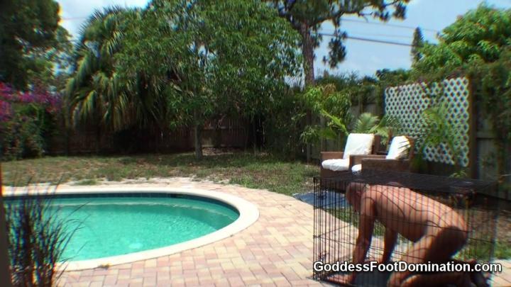 Footdog Can't Stop Licking