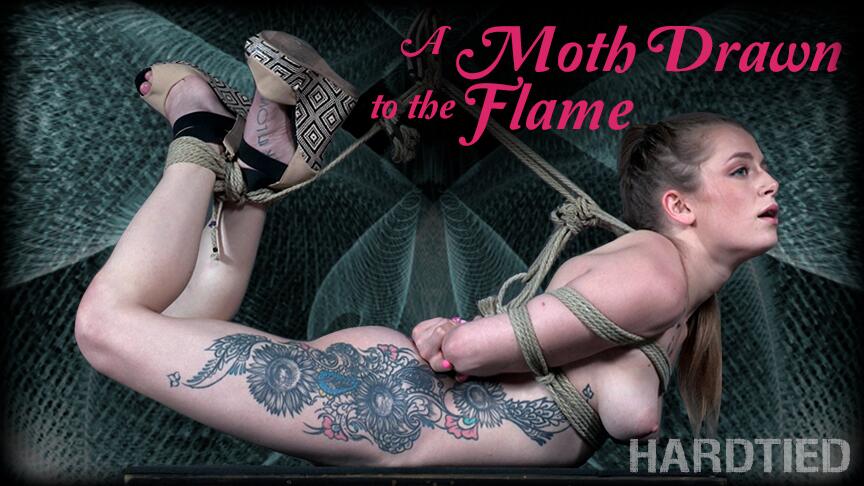 A Moth Drawn to the Flame