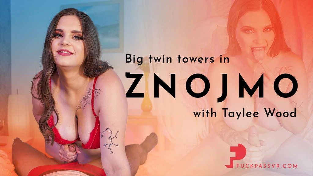 Big Twin Towers in Znojmo